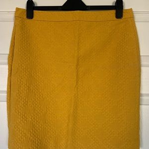 Banana Rebublic Skirt